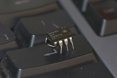 Computer Bug,I found this on my keyboard this morning! :-)