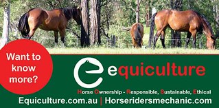 Equiculture Promotes Sustainable Horse Keeping