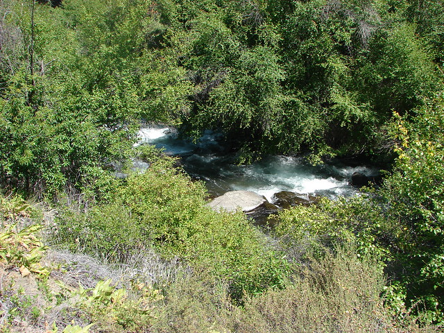 Whychus Creek