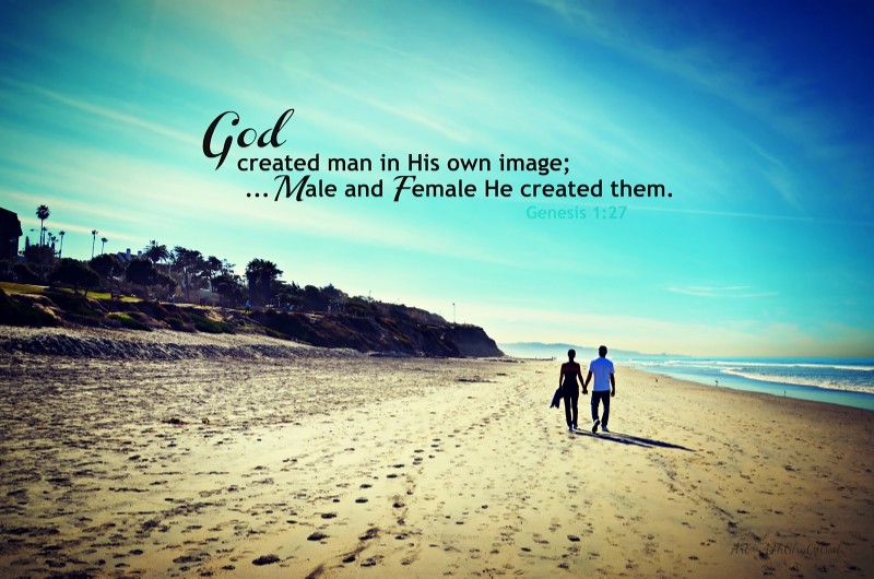 "Male and Female He Created Them..." "God created man in