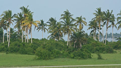 Lagoon View