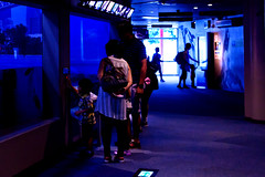 At Shinagawa Aquarium : しながわ水族館にて