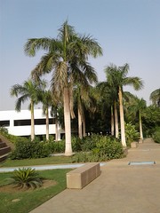 Corinthia hotel gardens, Khartoum