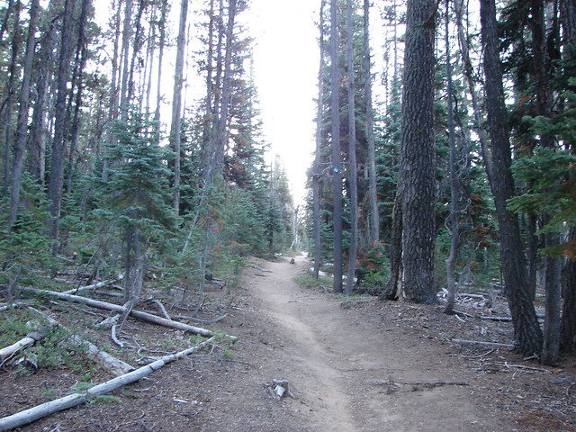 Mt. Thielsen Trail