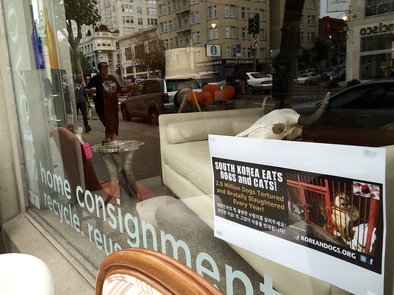 KoreanDogs.org posters on Leftovers Home Consignment Store in San Francisco