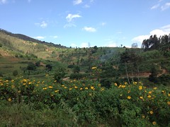 Rwanda Washing Station Tour, Day 4