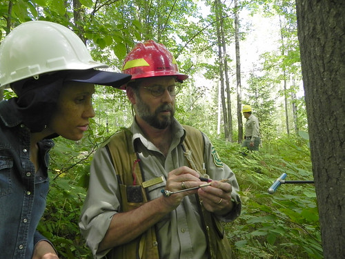 Natural resources professionals from the U.S. Forest Service