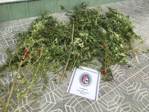 Droga encontrada. Foto: Policía Local de La Puebla.