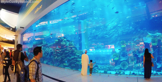 the Dubai mall aquarium
