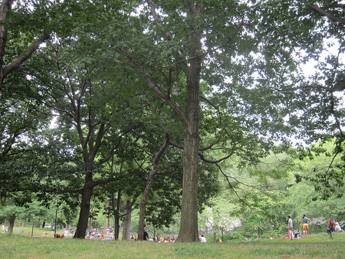 Central Park, NYC. Nueva York