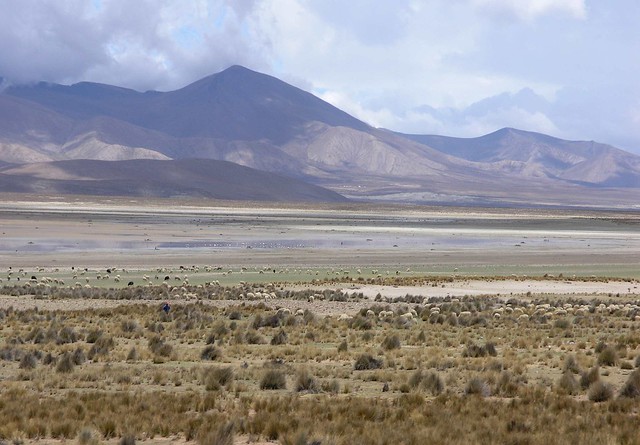 Valle cerca de Yunchara, Departamento de Tarija, Bolivia