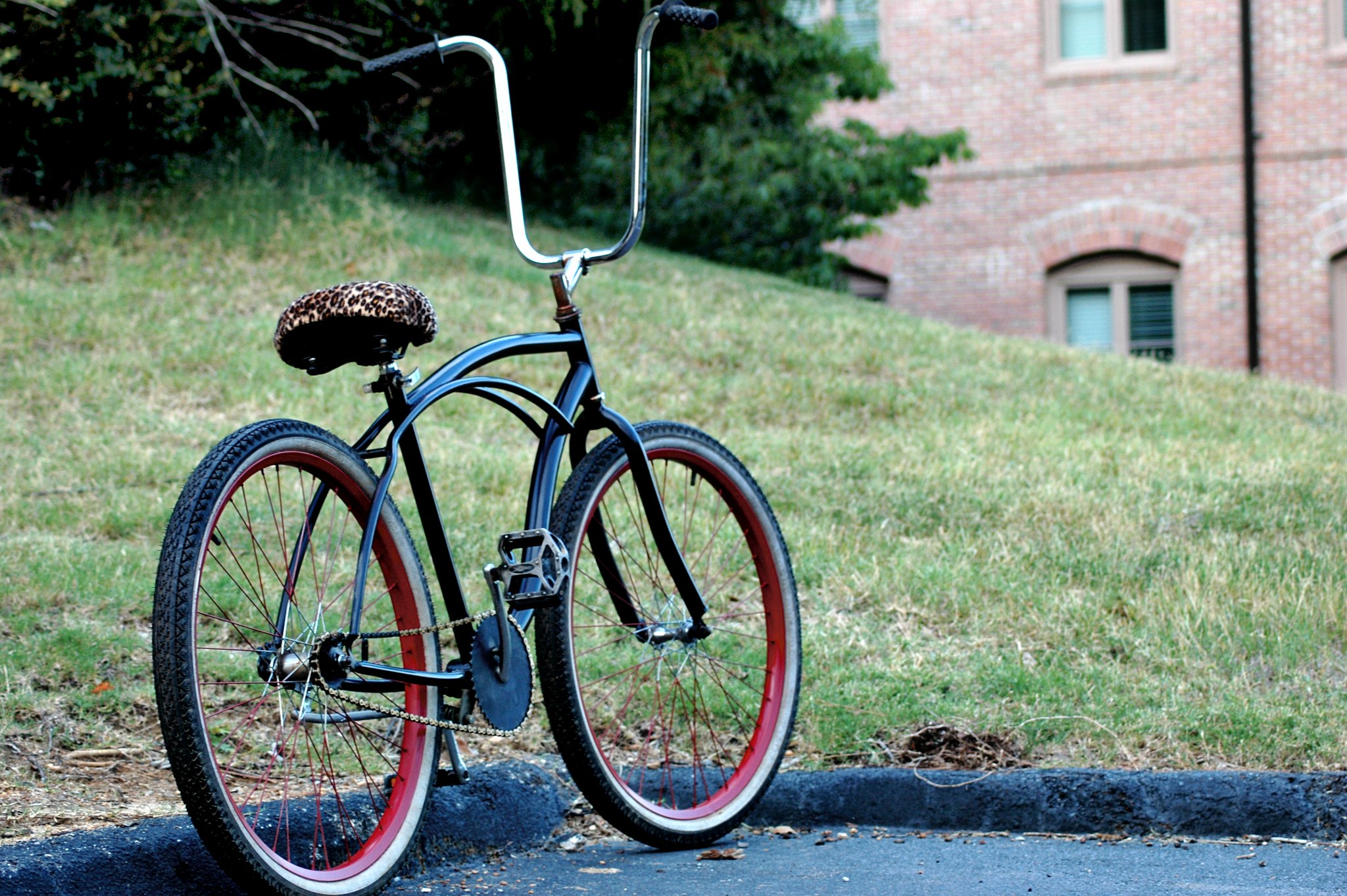 Radrod Beach cruiser with Ape Hangers Beach cruiser