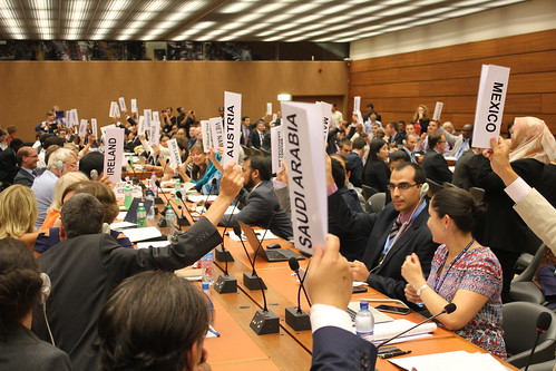 Un Working Group 51