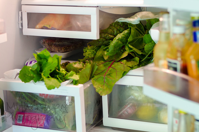CSA share in the fridge