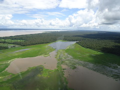 Madeirinhas Conservation Project, Municipality of Autazes, Amazonas, Brazil