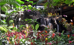 Walt Disney World - Disney's Polynesian Resort - Great Ceremonial House - Lobby Waterfall (2)