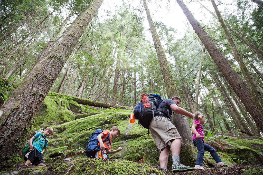 What are the best hikes in the Lower Mainland in B.C.? Included are some great family-friendly ones.