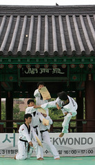 Korea_Taekwondo_Namsan_08