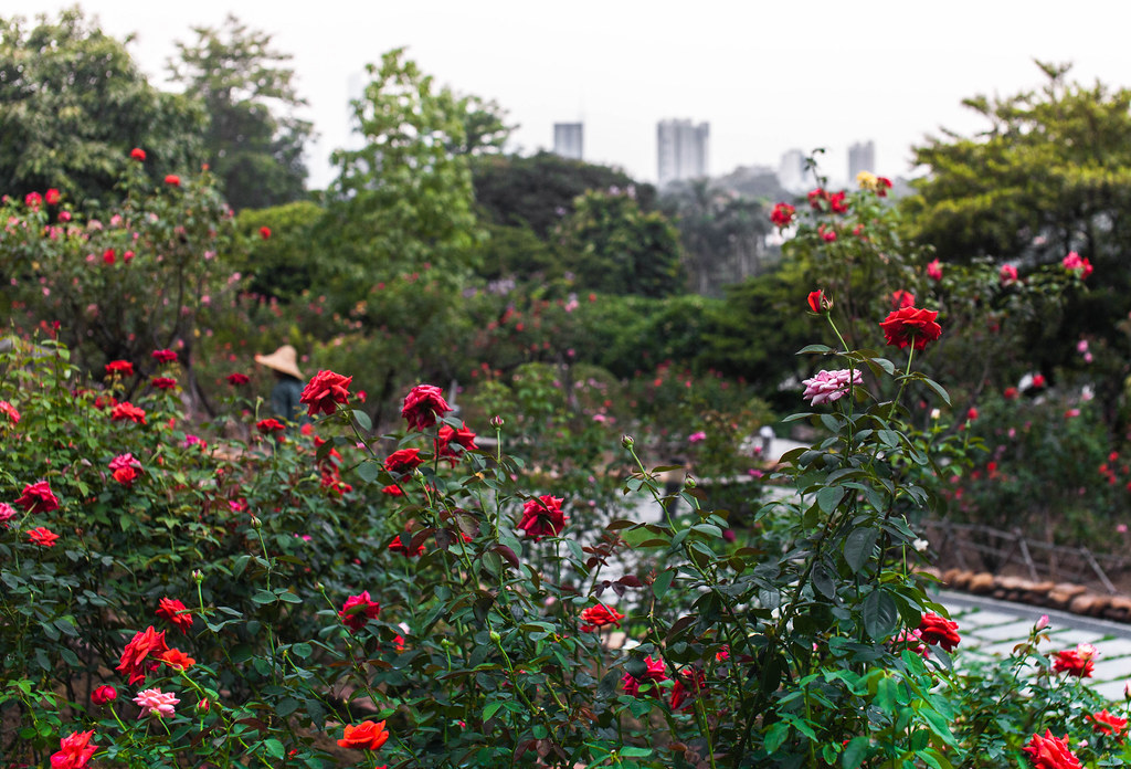 Yuntai Garden | Guangzhou