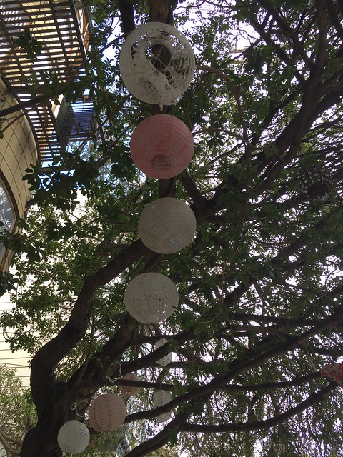 Sanchez Street tree lanterns