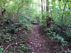Susquehanna State Park - "Extremely Difficult" Trail