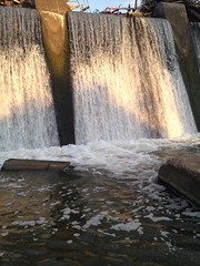 Falls of the Ohio National Wildlife Conservation Area