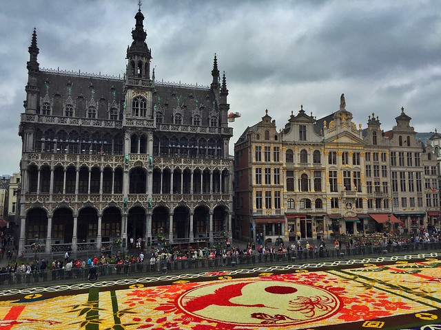 Alfombra de Flores 2016 en la Grand Place de Bruselas