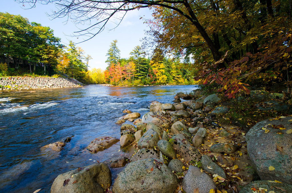 Saco River in New Hampshire | The Saco River lined with tree… | Flickr