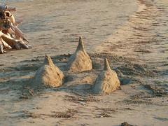 Sand Dolphins