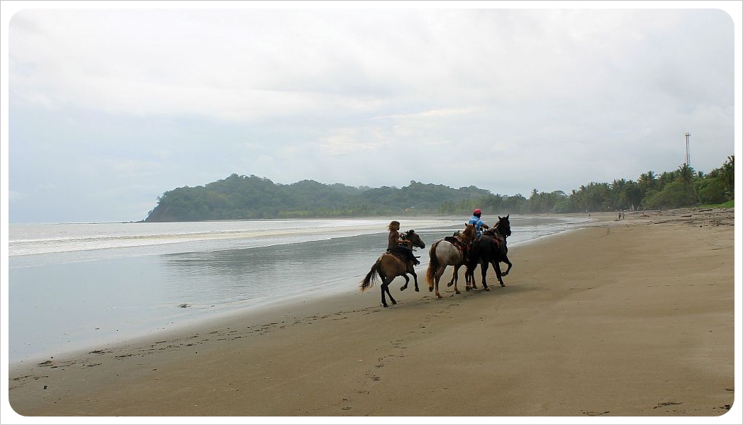 samara beach horseback riders