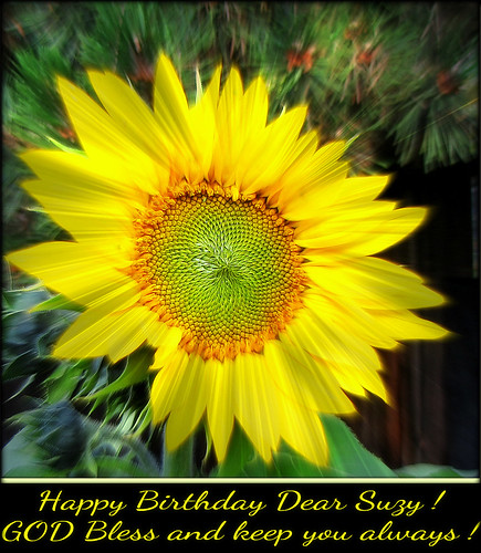 Happy Birthday Suzy (Unyink25 ) | Oct. 25 is Suzy's Birthday… | Flickr