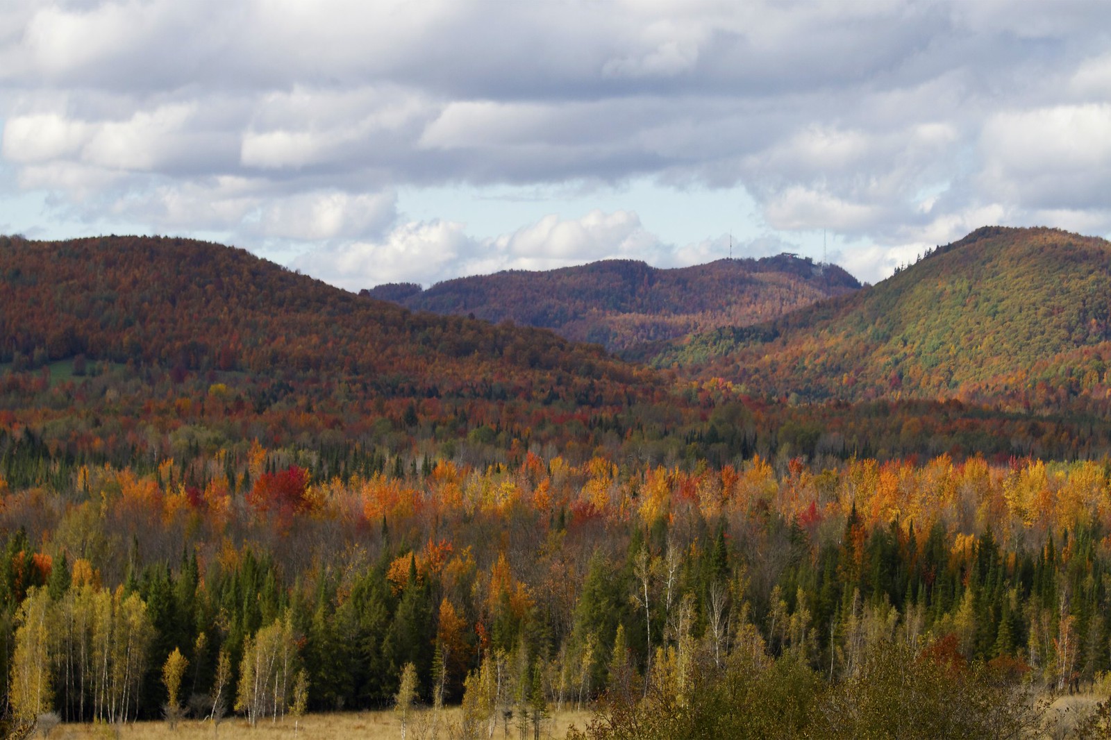 Fall colors in the hills of the Eastern Townships in Quebec, Canada, one of the best places to visit during fall in Canada