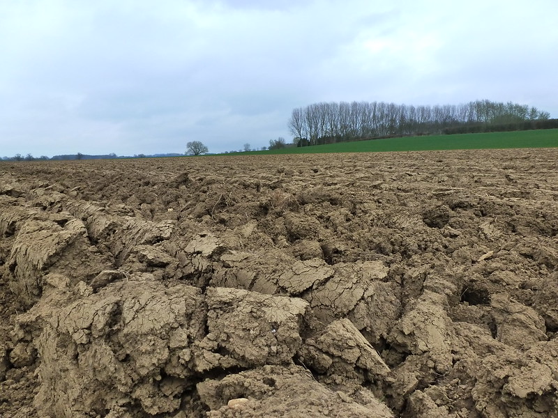 Agriculture during the 2012 drought in Oxfordshire, UK