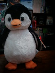 Tengo un pinguino