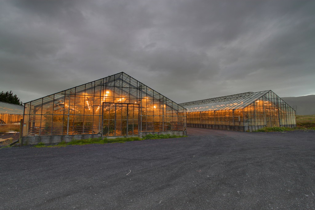 greenhouses-heated-with-geothermal-energy-iceland-flickr