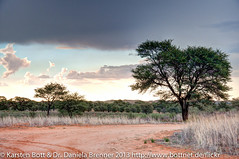 Rooiputs in Botswana