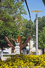 Monumento ao Doutor Francisco da Graça Miguéns - Nisa - Portugal