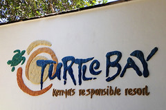 Turtle Bay Beach Club