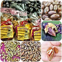 Pili Nut is another product of Bicol and the yummiest ones can be found in the island of Catanduanes. The black fruit is blanched to make it soft so that you can peel the husk and eat the meat of the fruit. The seed is cracked open and the pili nut inside