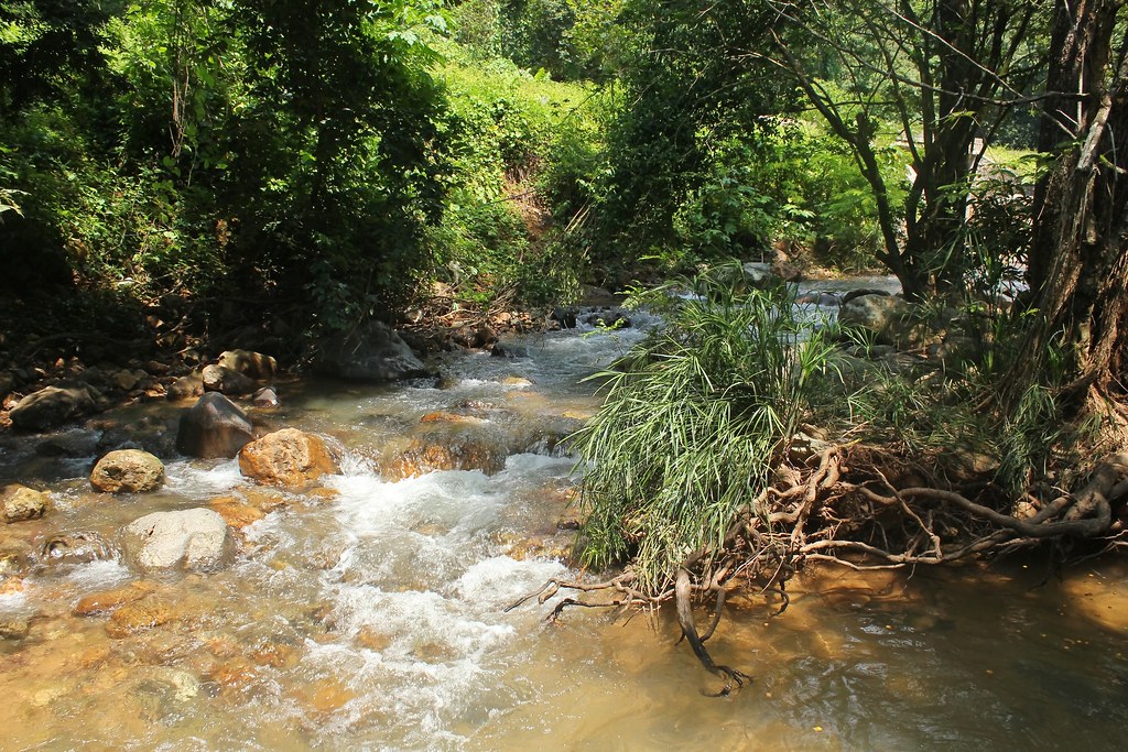 El Venado, Ruiz, Nayarit, Mexico. | The creek. | yauco18 | Flickr