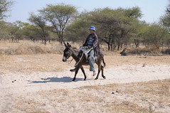 Local kid riding a burrow in Maun Botswana 9-6-10
