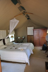 Interior of tent cabin at Camp Okavango in Botswana-03 9-8-10