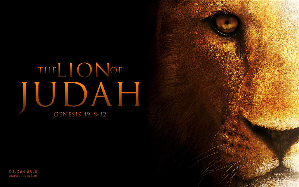 lion-of-judah-genesis-49-8-12-judah-arun-flickr