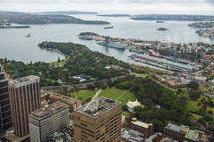 A view from Sydney Tower
