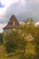 Burg Halitsch hinter der Eberesche