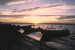 Pongas on shore of Magdalena Bay at sunset in Baja 2-1-86