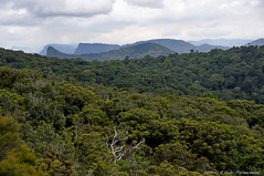 Parque nacional Cadena Principal