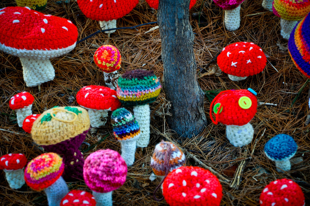 crochet mushrooms