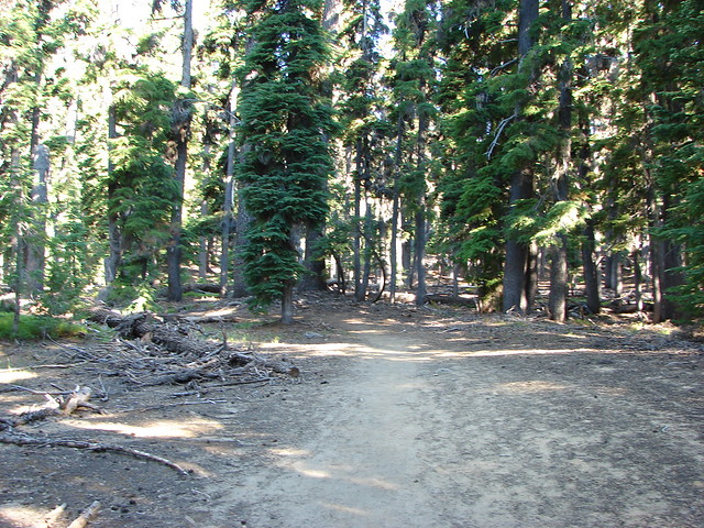 Mt. Bailey Trail