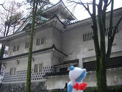 Froslass in Toyama, Toyama 9 (Toyama Castle)